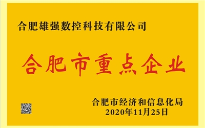 合肥市重點企業(yè)